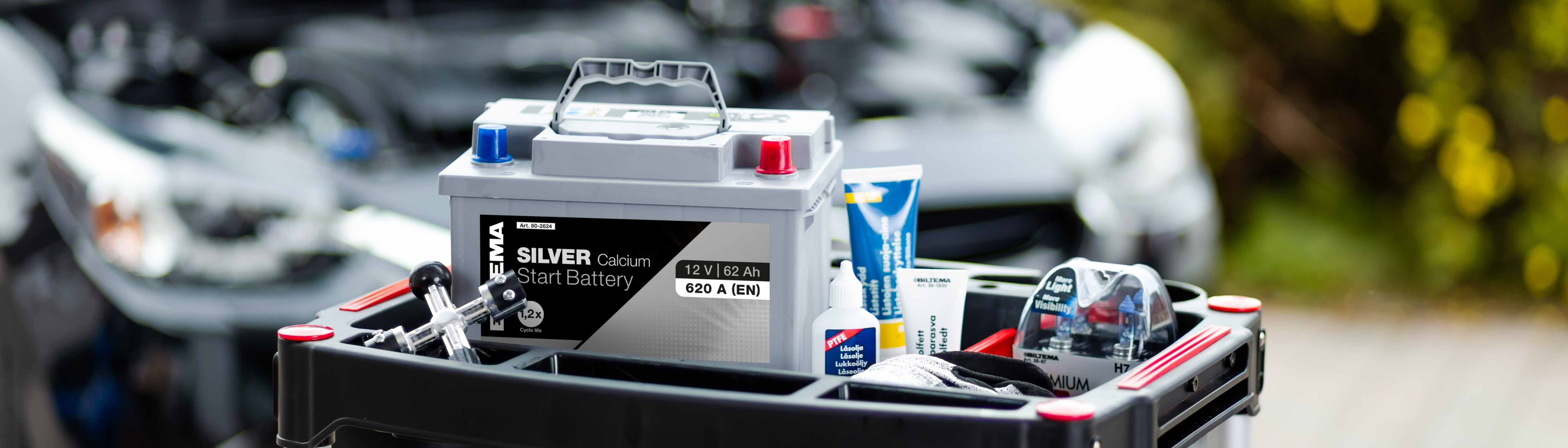Vehicle batteries