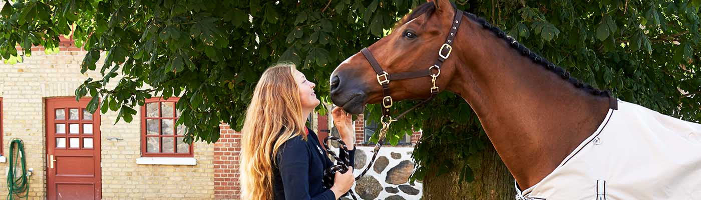 Buying guide for horse accessories – everything for you and your horse 
